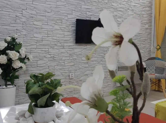 Apartman Sun Sea No 2 *